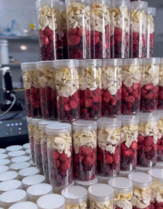 میوه خشک فریز شده