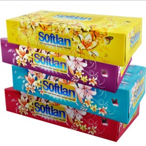 دستمال کاغذی 100 برگ سافتلن سری باغ بهشت