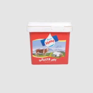 پنیر 400 گرم لاکتیکی بصیر