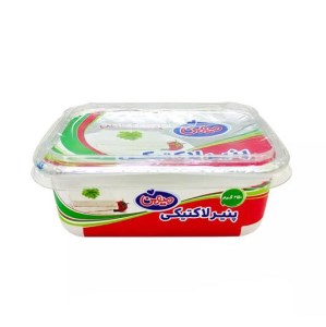 پنیر لاکتیکی 250 گرم میهن