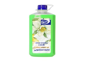 مایع دستشویی دو لیتری سبز رافونه